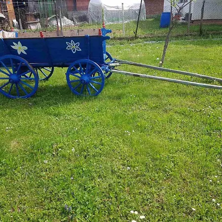 за гости 